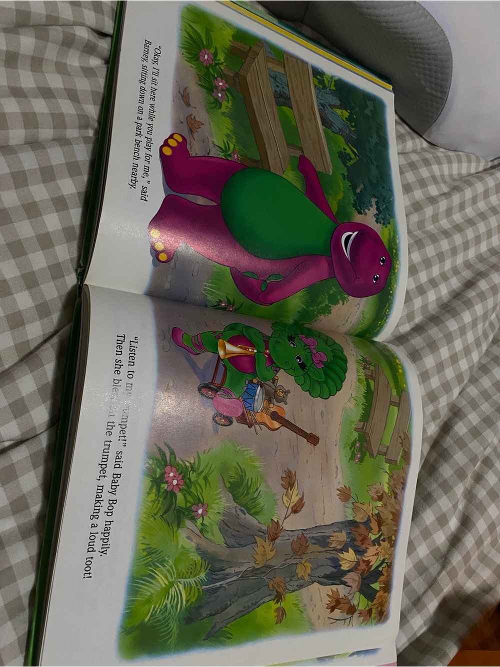 Barney Book - Picture 5 of 5